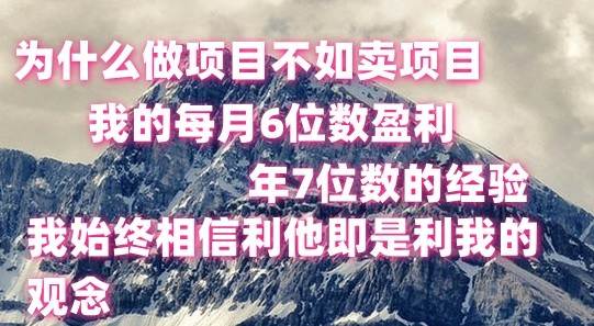 做项目不如卖项目，每月6位数盈利，年7位数经验-宇文网创