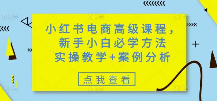 小红书电商高级课程，新手小白必学方法，实操教学+案例分析-宇文网创