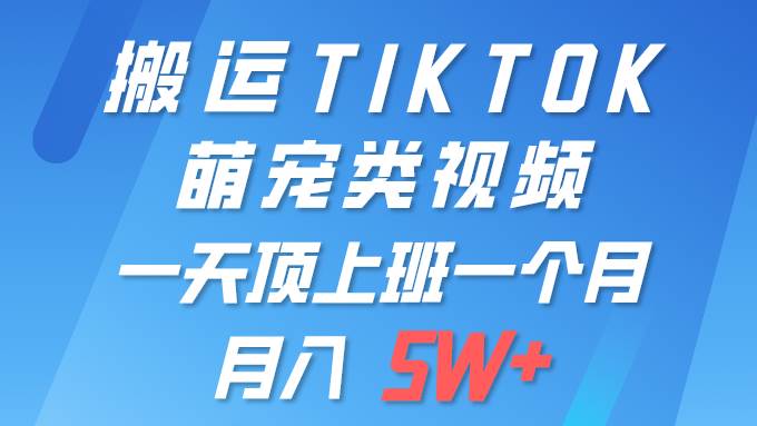 （9931期）一键搬运TIKTOK萌宠类视频 一部手机即可操作 所有平台均可发布 轻松月入5W+-宇文网创
