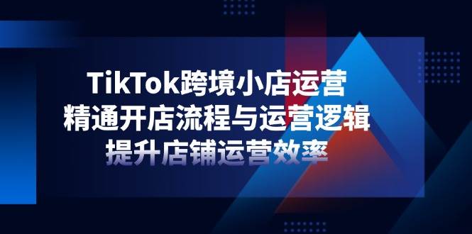 （14369期）TikTok跨境小店运营，精通开店流程与运营逻辑，提升店铺运营效率-宇文网创