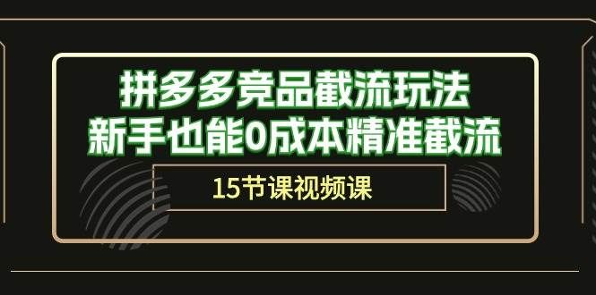 （10301期）拼多多竞品截流玩法，新手也能0成本精准截流（15节课）-宇文网创