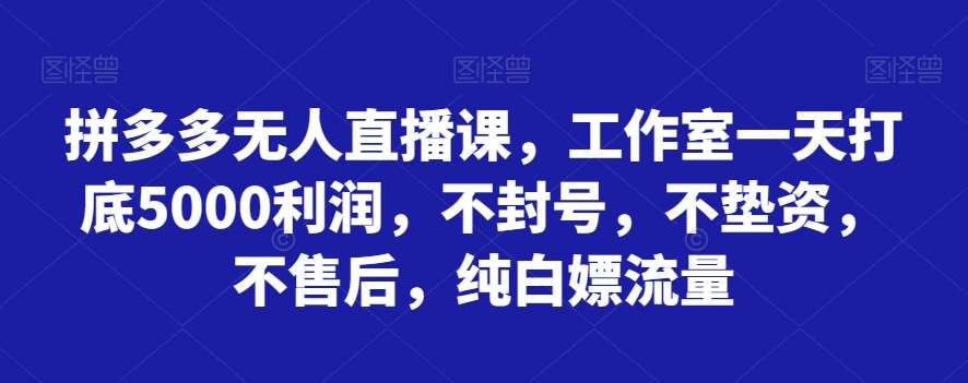 拼多多无人直播课，工作室一天打底5000利润，不封号，不垫资，不售后，纯白嫖流量-宇文网创