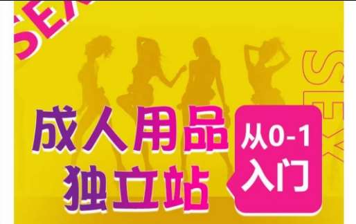 成人用品独立站从0-1入门，成品独立站运营全流程教学，七大好卖成品独立站推荐-宇文网创