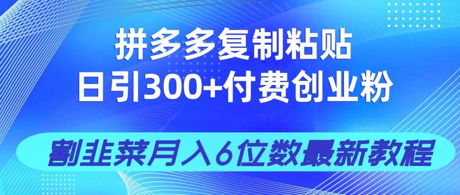 （14232期）拼多多复制粘贴日引300+付费创业粉，割韭菜月入6位数最新教程！-宇文网创