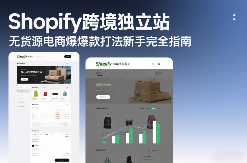 Shopify跨境独立站无货源电商爆款打法新手完全指南-宇文网创