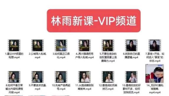 林雨新课VIP频道，玩赚私域/朋友圈/社群-宇文网创