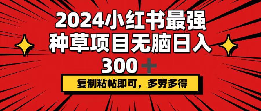 （12336期）2024小红书最强种草项目，无脑日入300+，复制粘帖即可，多劳多得-宇文网创