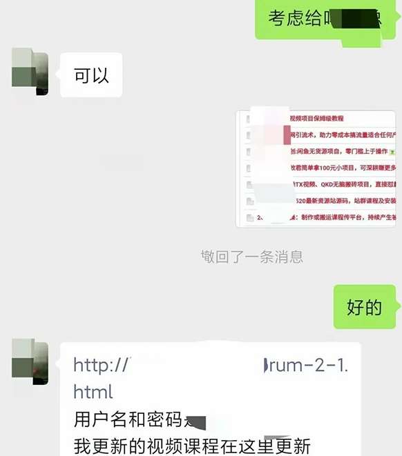 图片[2]-小彬网虚拟资源网站培训课程，如何一个月快速做出盈利的资源网站（实打实经验）-宇文网创