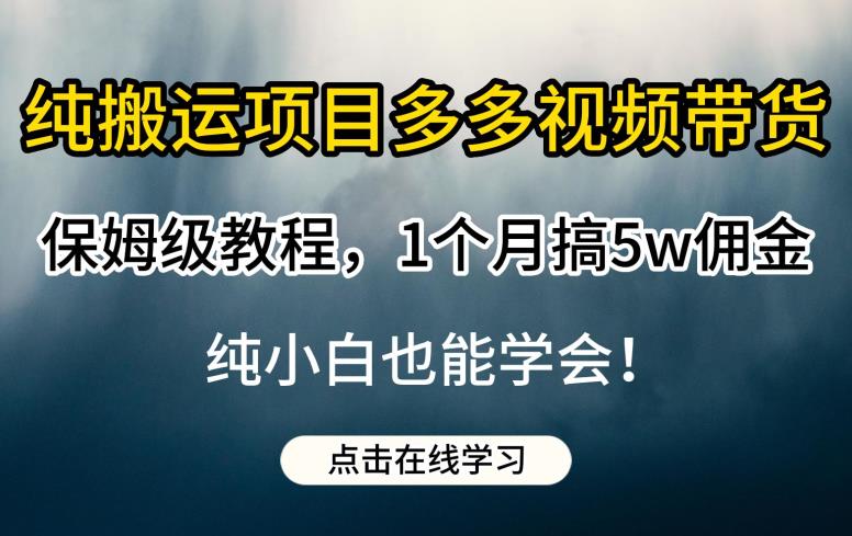 纯搬运项目多多视频带货保姆级教程,1个月搞5w佣金,纯小白也能学会【揭秘】-宇文网创