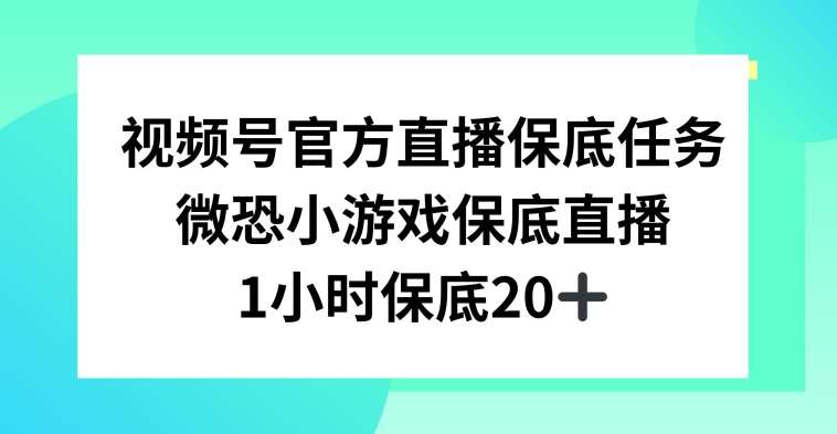视频号直播任务，微恐小游戏，1小时20+【揭秘】-宇文网创