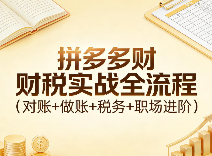 拼多多财税实战全流程（对账+做账+税务+职场进阶）-宇文网创