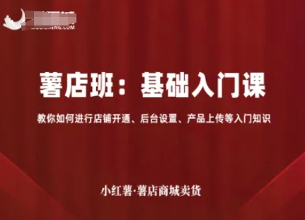 小红薯薯店商城卖货,基础入门课,教你如何进行店铺开通、后台设置、产品上传等入门知识-宇文网创