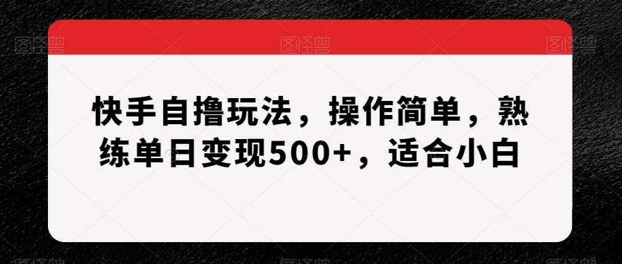 快手自撸玩法，操作简单，熟练单日变现500+，适合小白【揭秘】-宇文网创