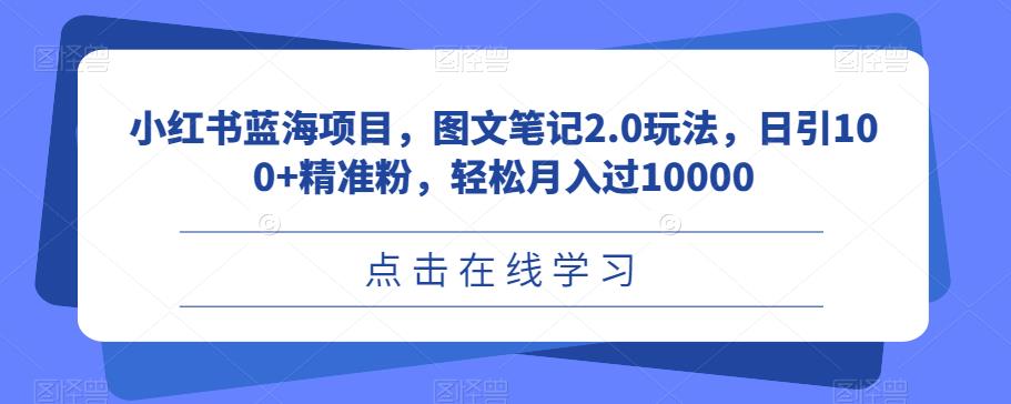 小红书蓝海项目，图文笔记2.0玩法，日引100+精准粉，轻松月入过10000【揭秘】-宇文网创