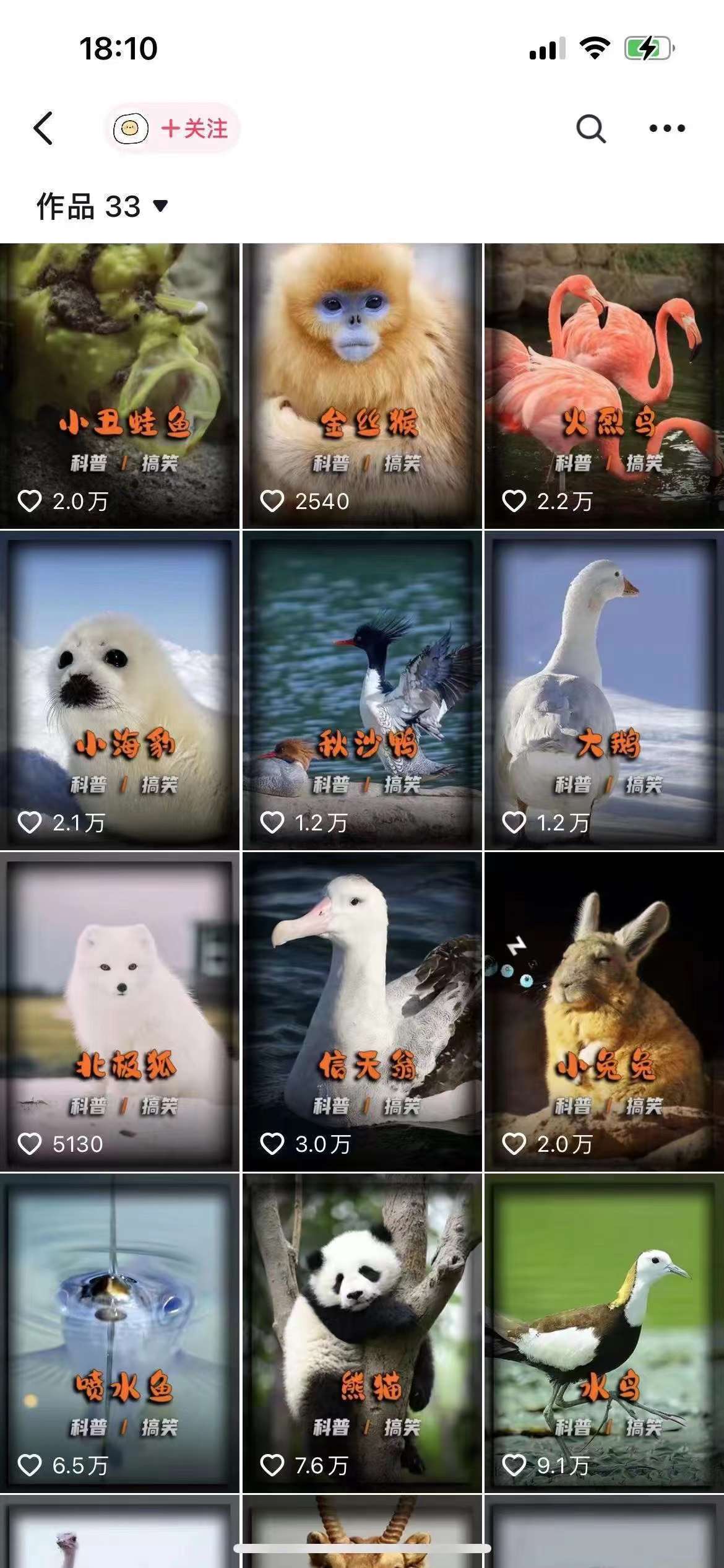 图片[2]-动物科普解说项目，撸创作者伙伴计划收益，保姆级实战教程-宇文网创