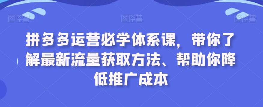 拼多多运营必学体系课，带你了解最新流量获取方法、帮助你降低推广成本-宇文网创