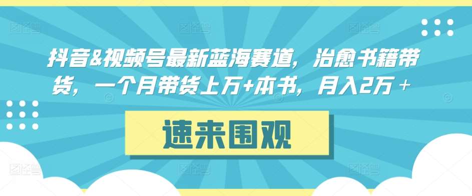 抖音&视频号最新蓝海赛道，治愈书籍带货，一个月带货上万+本书，月入2万＋【揭秘】-宇文网创