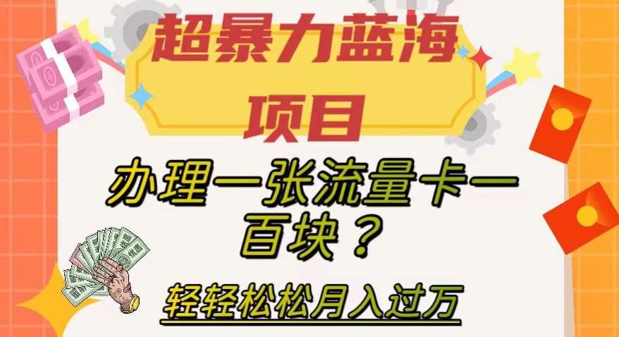 超暴力蓝海项目，办理一张流量卡一百块？轻轻松松月入过万，保姆级教程【揭秘】-宇文网创