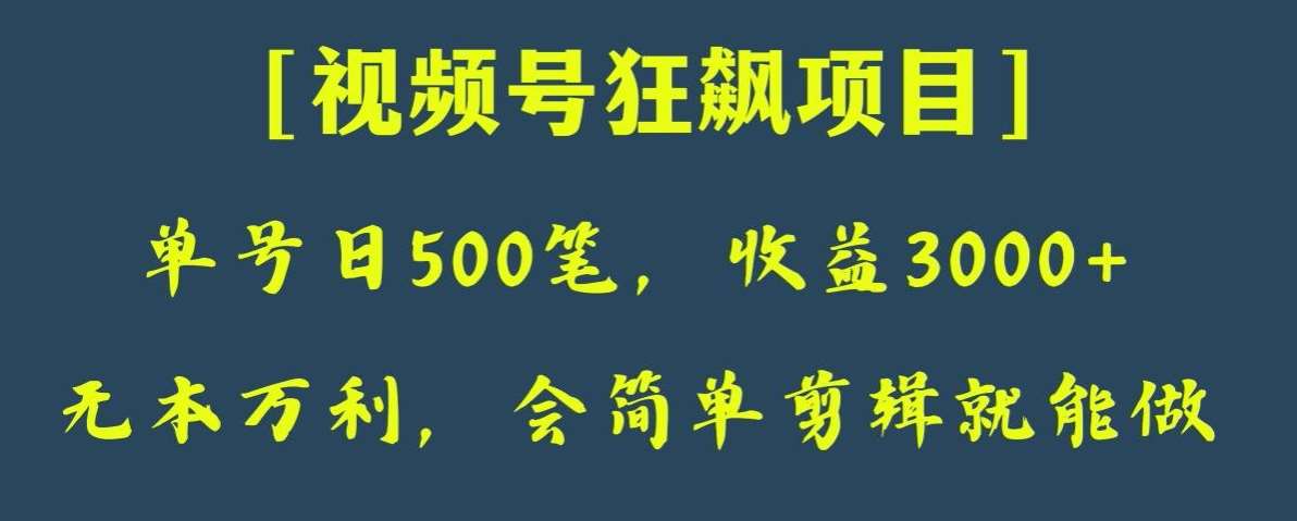 日收款500笔，纯利润3000+，视频号狂飙项目，会简单剪辑就能做【揭秘】-宇文网创