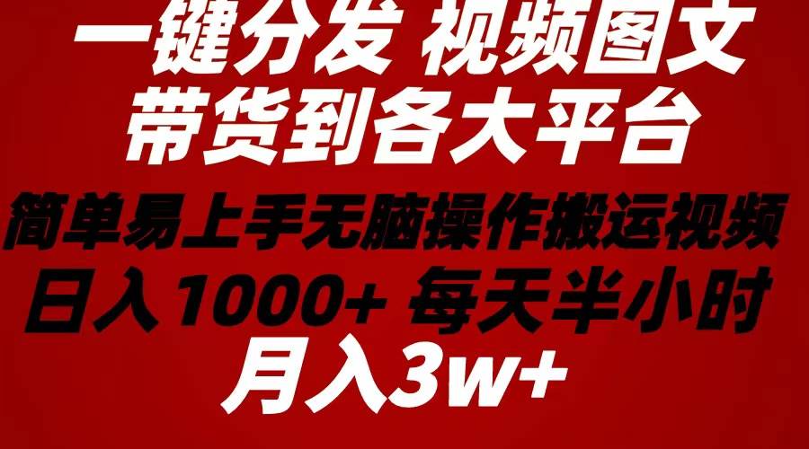 （10667期）2024年 一键分发带货图文视频  简单易上手 无脑赚收益 每天半小时日入1…-宇文网创