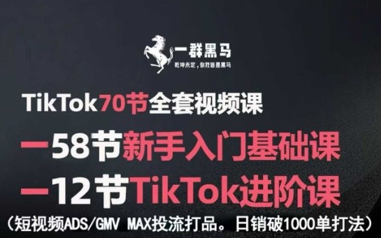 TikTok全套视频课，新手入门+进阶课，短视频ADS-GMV MAX投流打品，日销破1000单打法-宇文网创