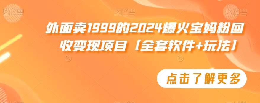 外面卖1999的2024爆火宝妈粉回收变现项目【全套软件+玩法】【揭秘】-宇文网创