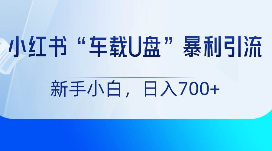 小红书“车载U盘”项目，暴利引流，新手小白轻松日入700+-宇文网创