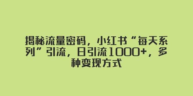 （8179期）揭秘流量密码，小红书“每天系列”引流，日引流1000+，多种变现方式-宇文网创