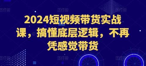 2024短视频带货实战课，搞懂底层逻辑，不再凭感觉带货-宇文网创