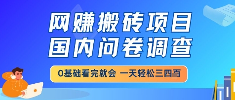 网创搬砖项目，国内问卷调查，小白轻松上手，一天三四张的也不难，干就完了【揭秘】-宇文网创