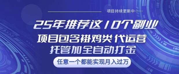 25年推荐这10个副业项目包含褂鸡类、代运营托管类、全自动打金类【揭秘】-宇文网创