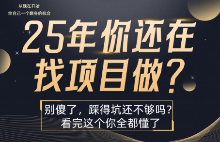 25年，你还在疯狂的找项目吗？别傻了，看完这个你都懂了【揭秘】-宇文网创