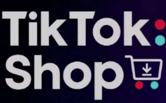 TikTokShop跨境电商0-1实战，手把手教你低成本启动海外市场（更新）-宇文网创