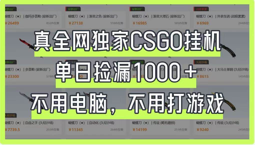 真全网独家CSGO挂机，单日捡漏1000+，不用电脑，不用养号-宇文网创