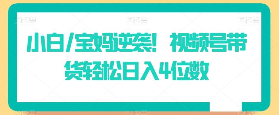小白/宝妈逆袭！视频号带货轻松日入4位数【揭秘】-宇文网创