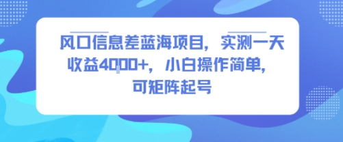 风口信息差蓝海项目，实测一天收益4k+，小白操作简单，可矩阵起号-宇文网创
