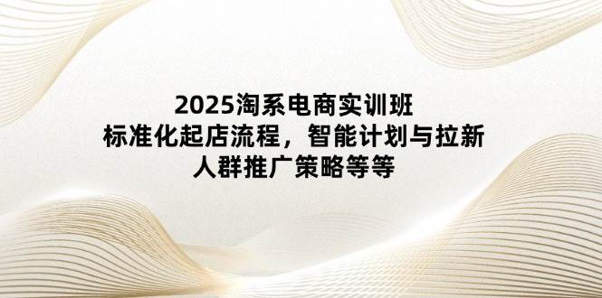 （14522期）2025淘系电商实训班：标准化起店流程，智能计划与拉新，人群推广策略等等-宇文网创