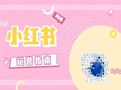 小红书运营指南，没有套路，全是经验-宇文网创