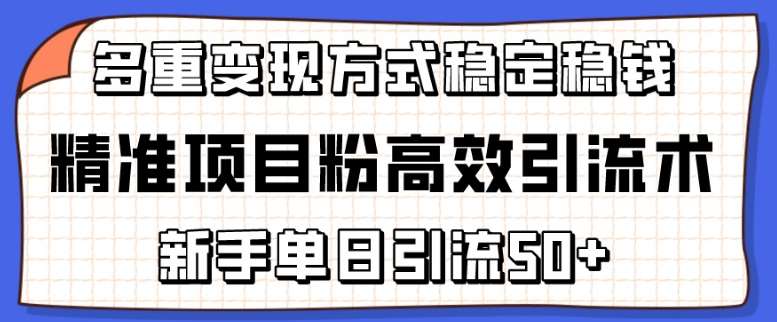精准项目粉高效引流术，新手单日引流50+，多重变现方式稳定赚钱【揭秘】-宇文网创