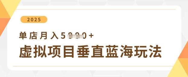 虚拟项目垂直玩法，实现单店月入5k+-宇文网创