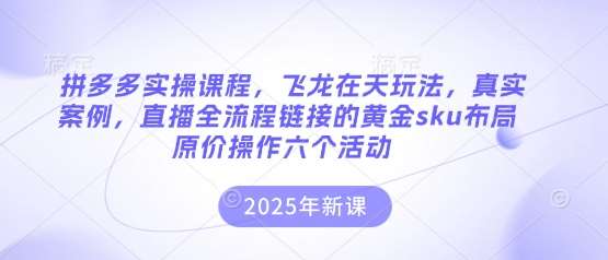 拼多多实操课程，飞龙在天玩法，真实案例，直播全流程链接的黄金sku布局原价操作六个活动-宇文网创