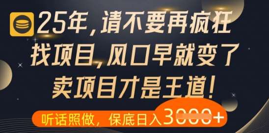 什么？25年你还在疯狂找项目做，醒醒吧，看完这些你全都懂了【揭秘】-宇文网创