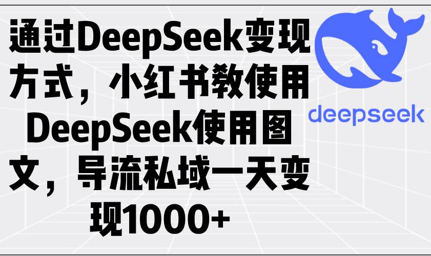 （14179期）通过DeepSeek变现方式，小红书教使用DeepSeek图文，导流私域一天变现1000+-宇文网创