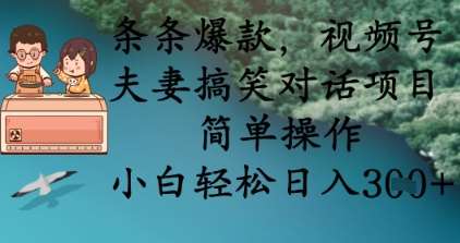 条条爆款,视频号夫妻搞笑对话项目,简单操作,小白轻松日入3张+-宇文网创
