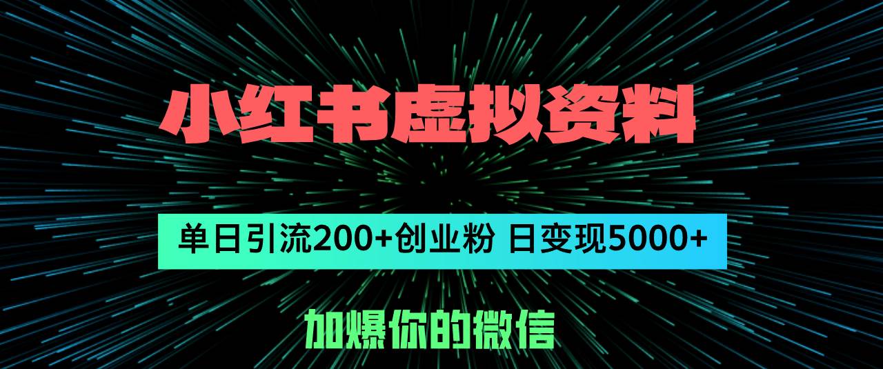 （12164期）小红书虚拟资料日引流200+创业粉，单日变现5000+-宇文网创