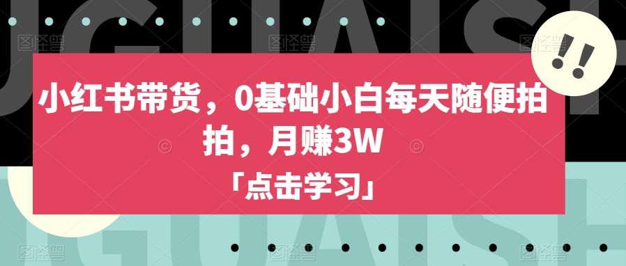 小红书带货，0基础小白每天随便拍拍，月赚3W【揭秘】-宇文网创