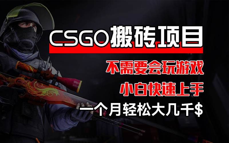 （12332期）CSGO 装备搬砖项目，操作简单，不需要会玩游戏，小白也能快速上手，一…-宇文网创