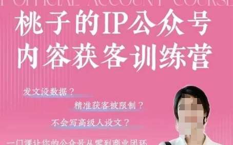 桃子IP公众号内容获客训练营(第3期)，一门让你公众号从0到商业闭环的课程-宇文网创