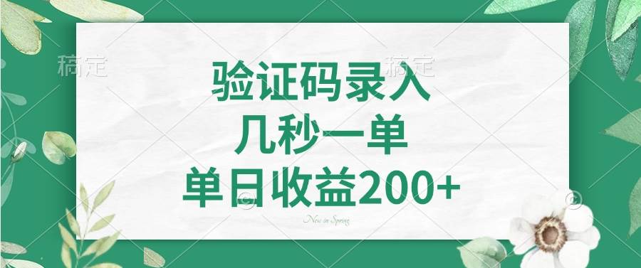 （14221期）验证码录入，几秒一单，单日收益200+-宇文网创