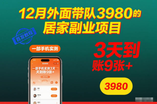 12月外面带队3980的居家副业项目,一部手机实测3天到账9张+,首发教程【揭秘】-宇文网创